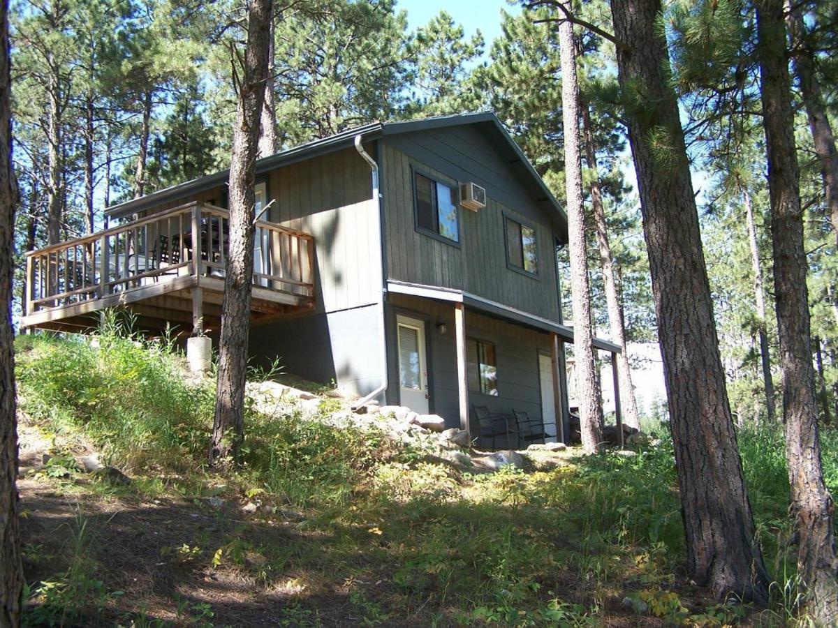 Lodge Mountain View & *
